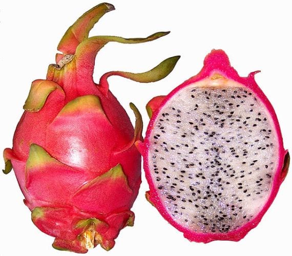 Fruto