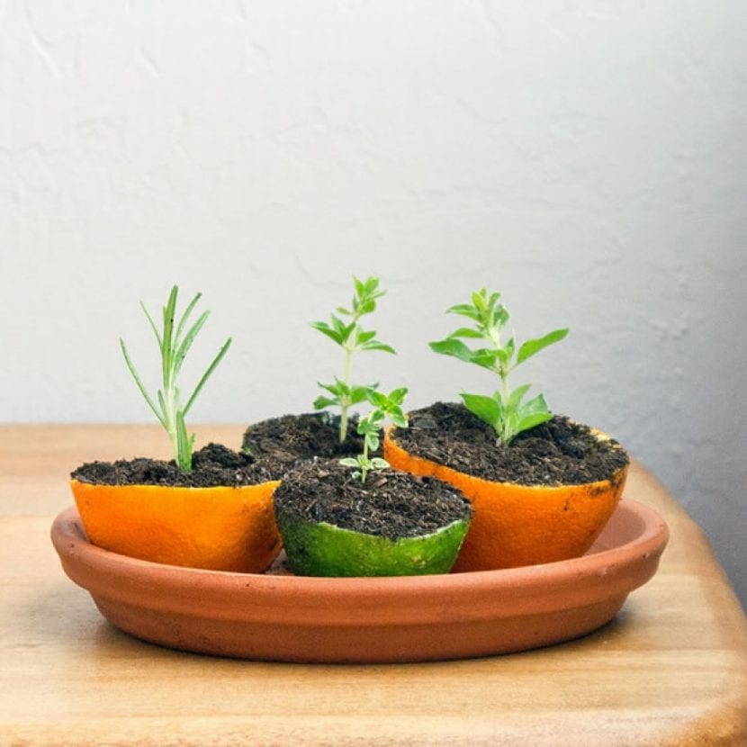 Growlandia.com
