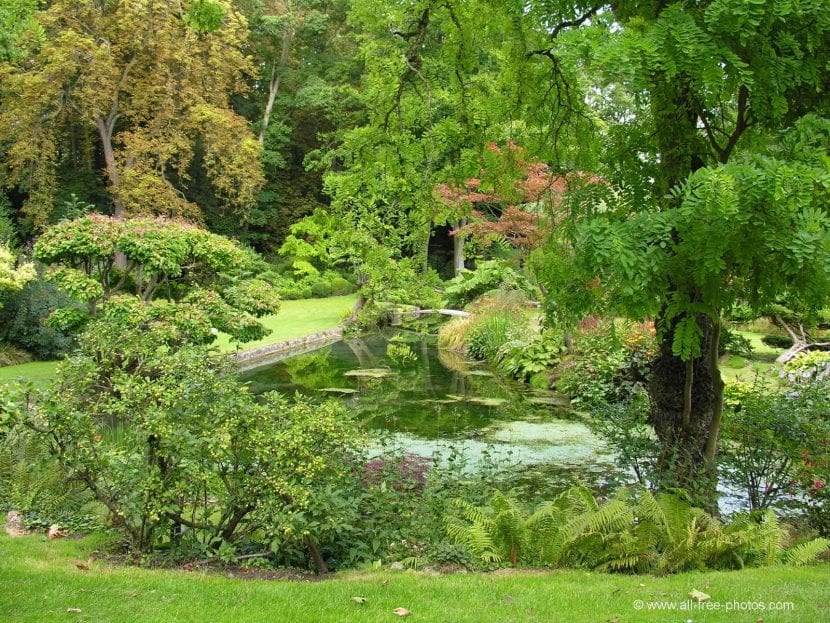 Jardín con hierba segada y perímetro despejado, poco favorable a las serpientes
