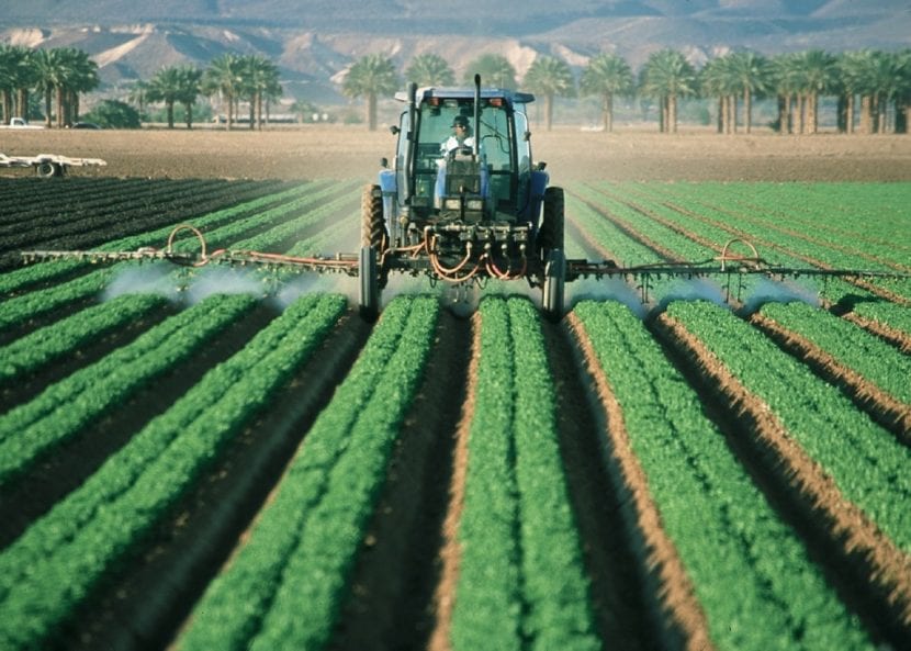 El clorpirifos tiene muchos efectos adversos