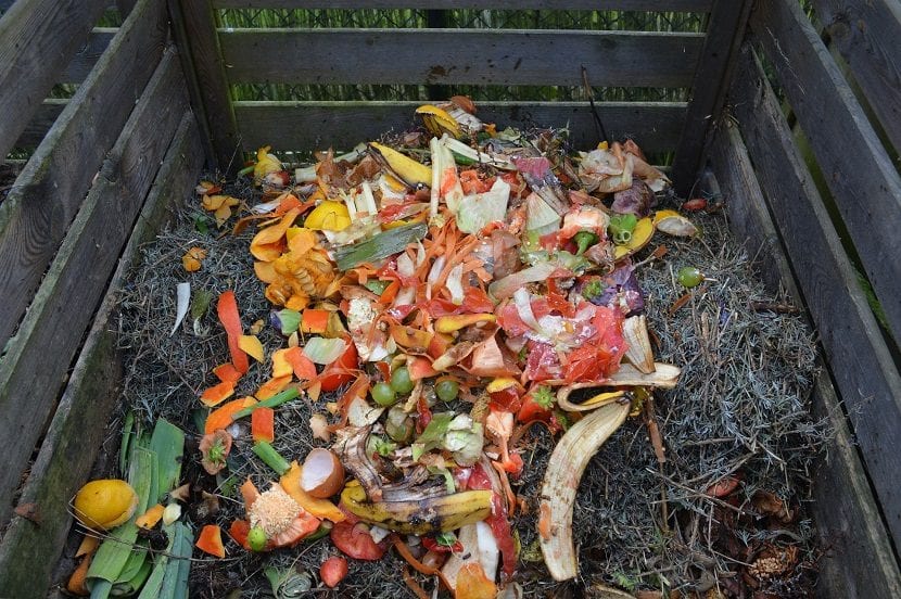 cáscaras de huevo en el compost