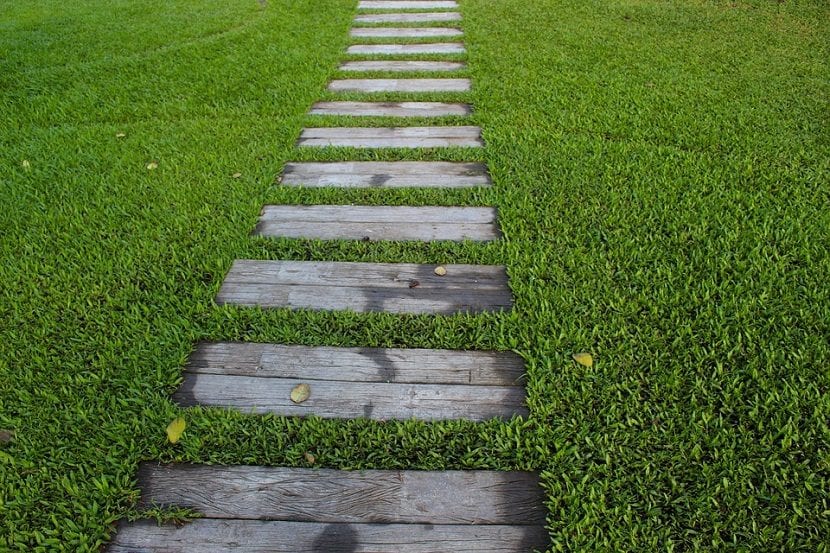 Lo primero que tenemos que hacer antes de poner el cesped natural en el jardín es eliminar las hierbas malas