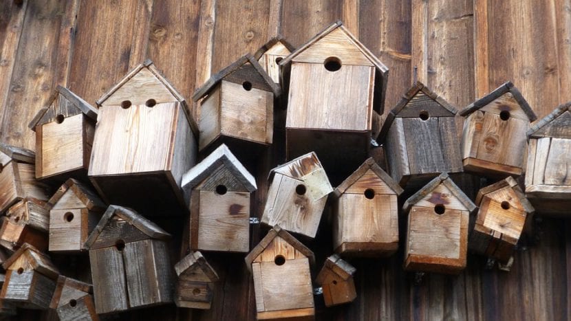 Cajas nido para pájaros