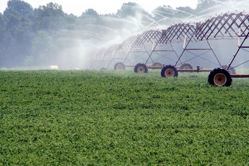 De qué forma actúan los biofungicidas