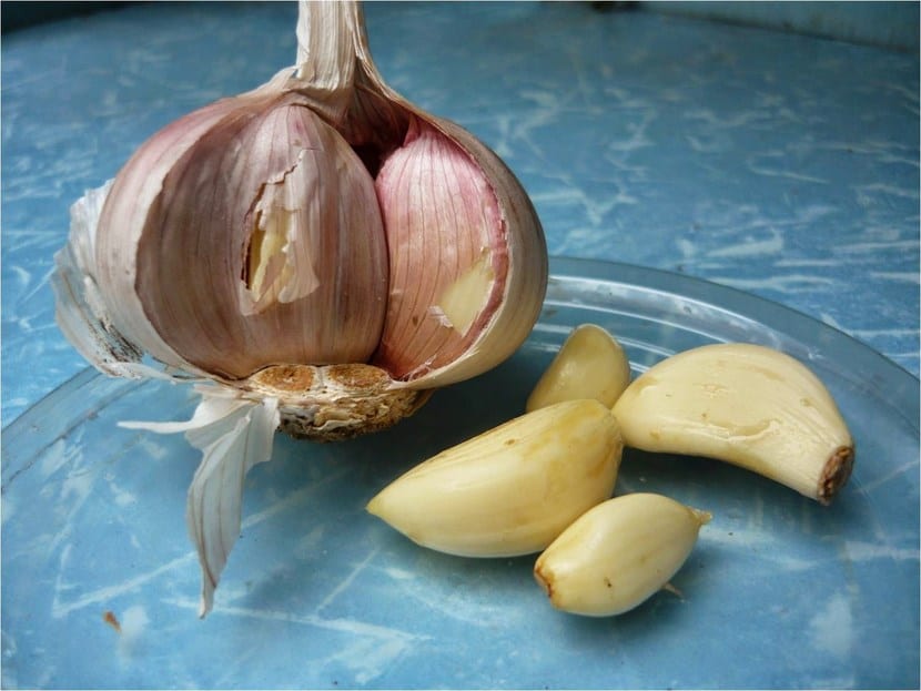 Ajo
