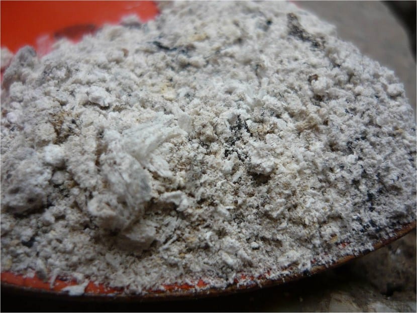 Abono cenizas de madera