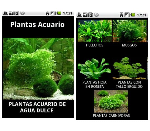Apps de plantas de acuario: cómo elegir bien las especies