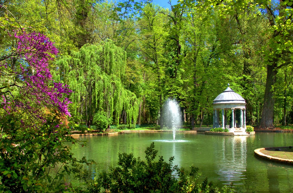 Cómo hacer un jardín acuático, desde un barreño hasta un estanque