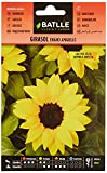 Girasol enano amarillo