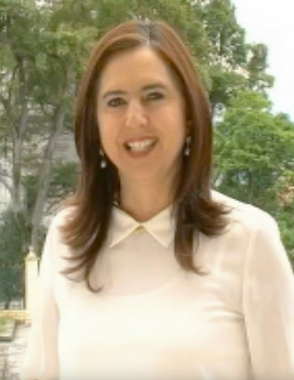 Azucena: fotos, tipos, significado, características, imágenes