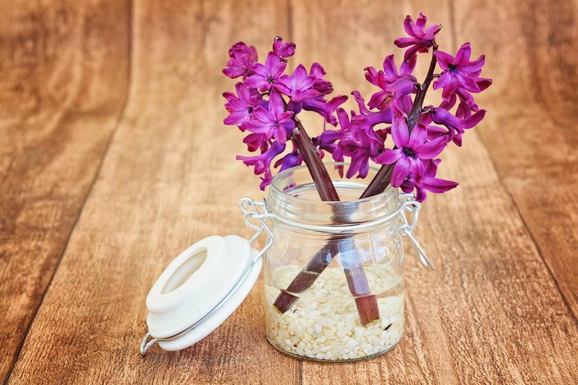 Cómo conservar las flores en un florero el mayor tiempo posible