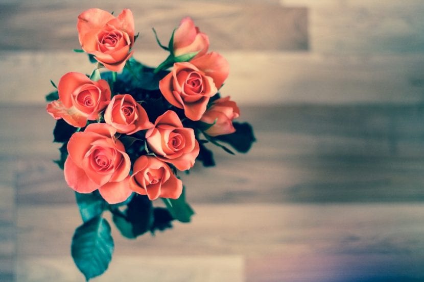 Utiliza las flores rojas para decorar mesas
