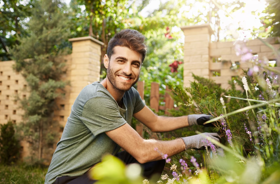 Jardinero trabajando entre lavandas y arbustos en un jardín particular