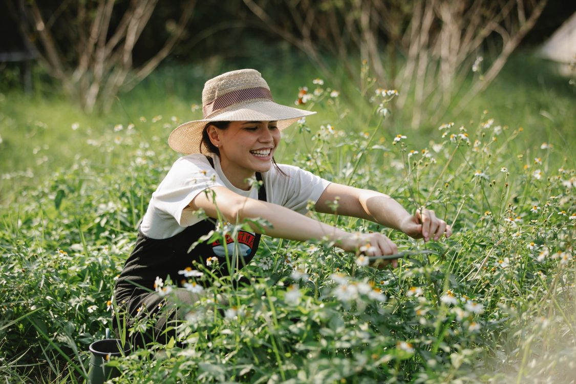 Corte de flores en un prado con tijera de mano