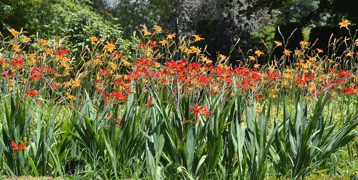 Decoracion de jardines