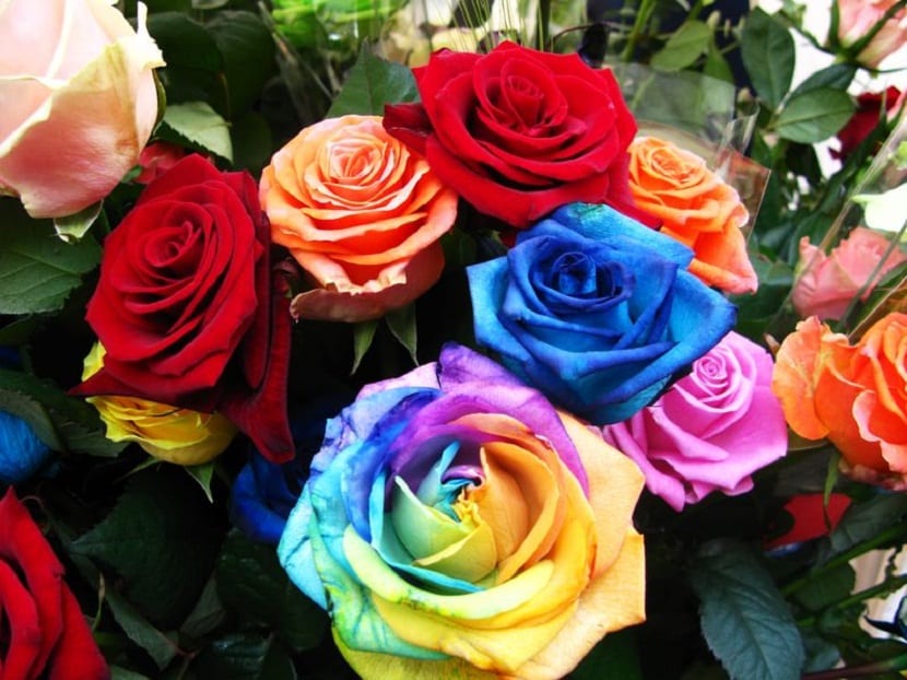 rosas dia de la madre