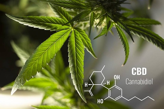 Productos con cannabidiol
