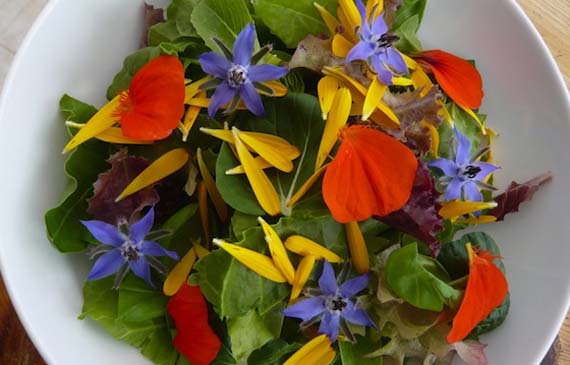 ensalada de flores