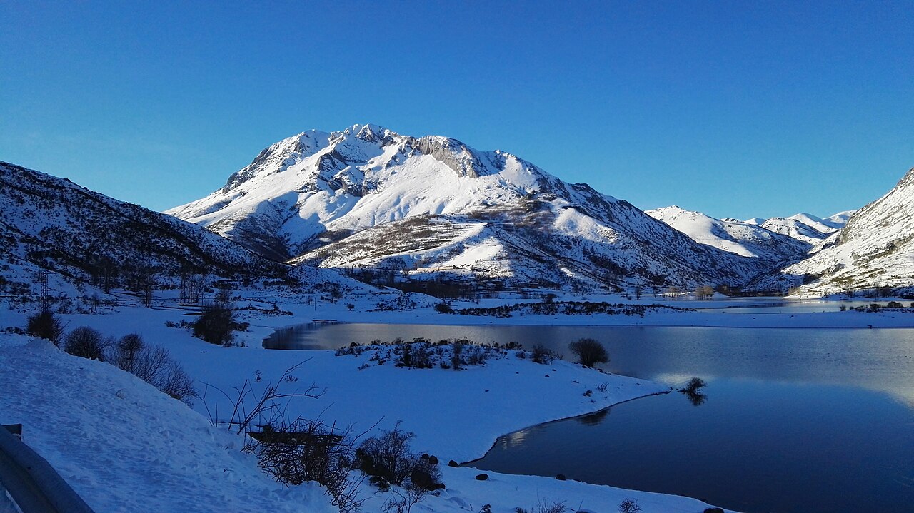 Flores de montaña