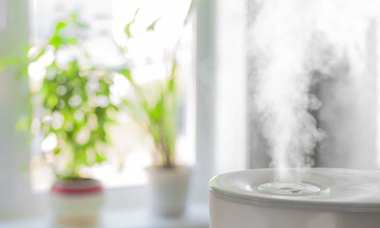 Humidificador funcionando junto a plantas de interior en una ventana
