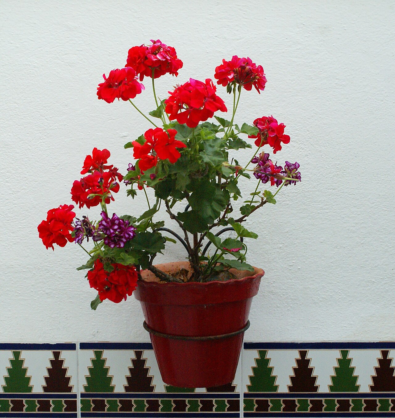 Macetas de pared