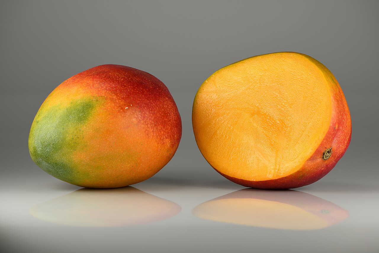 Mango: tipos, características, cultivo…