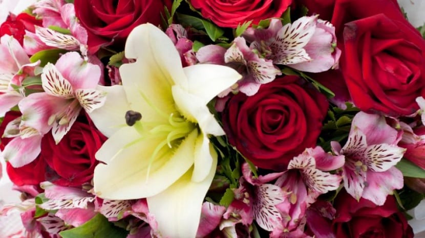 las flores deben estar dispuestas en forma de triangulo