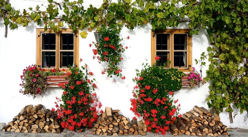 casa decorada con flores