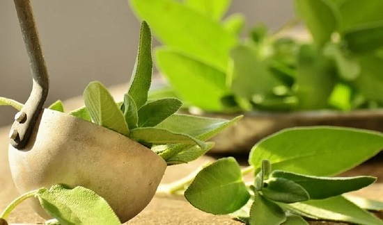 Hojas aromáticas en un mortero
