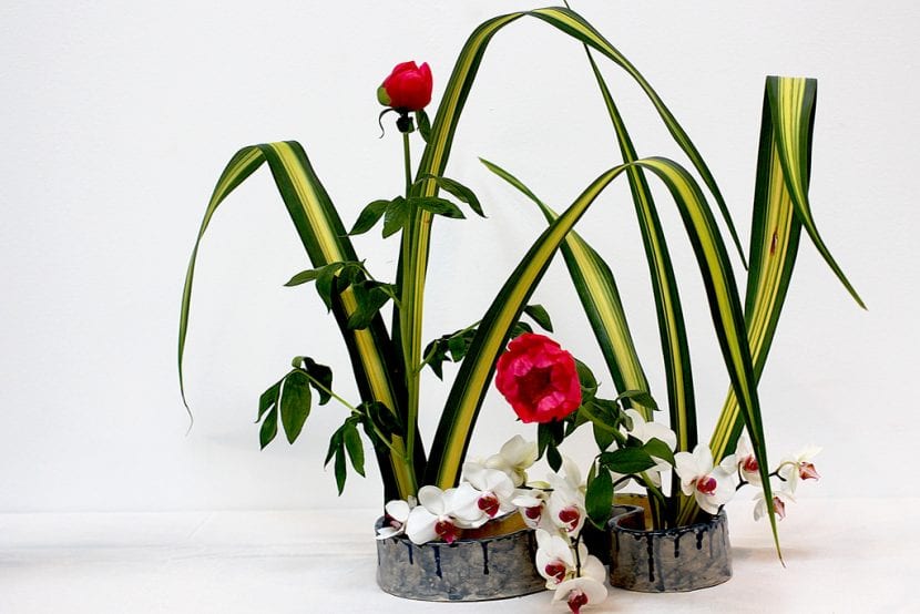 Ikebana con flores de orquídeas