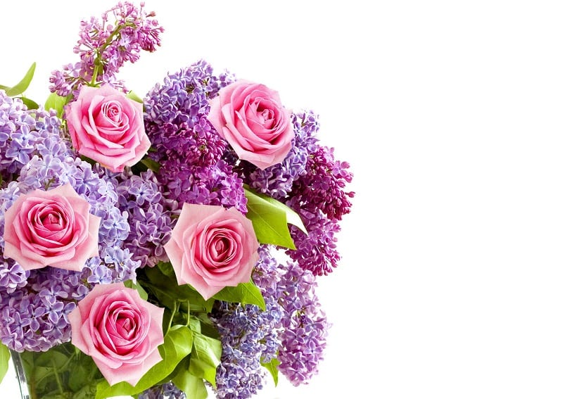 Ramos de flores: tipos, colores y cómo hacer que duren