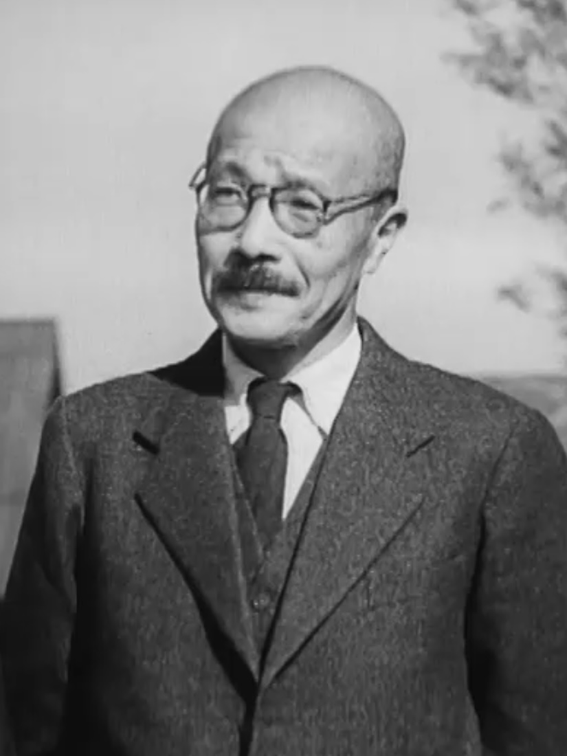 Tojo: fotos, tipos, significado, características, imágenes