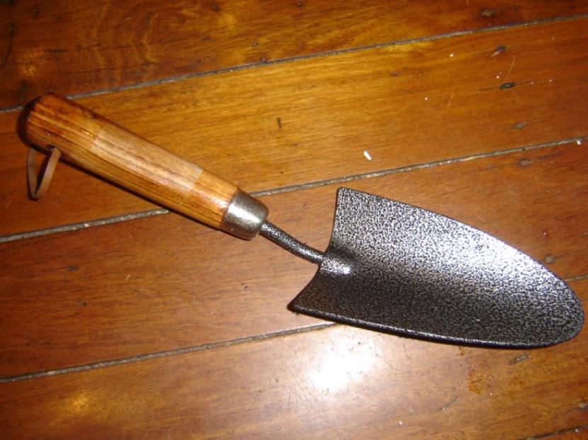 Pala