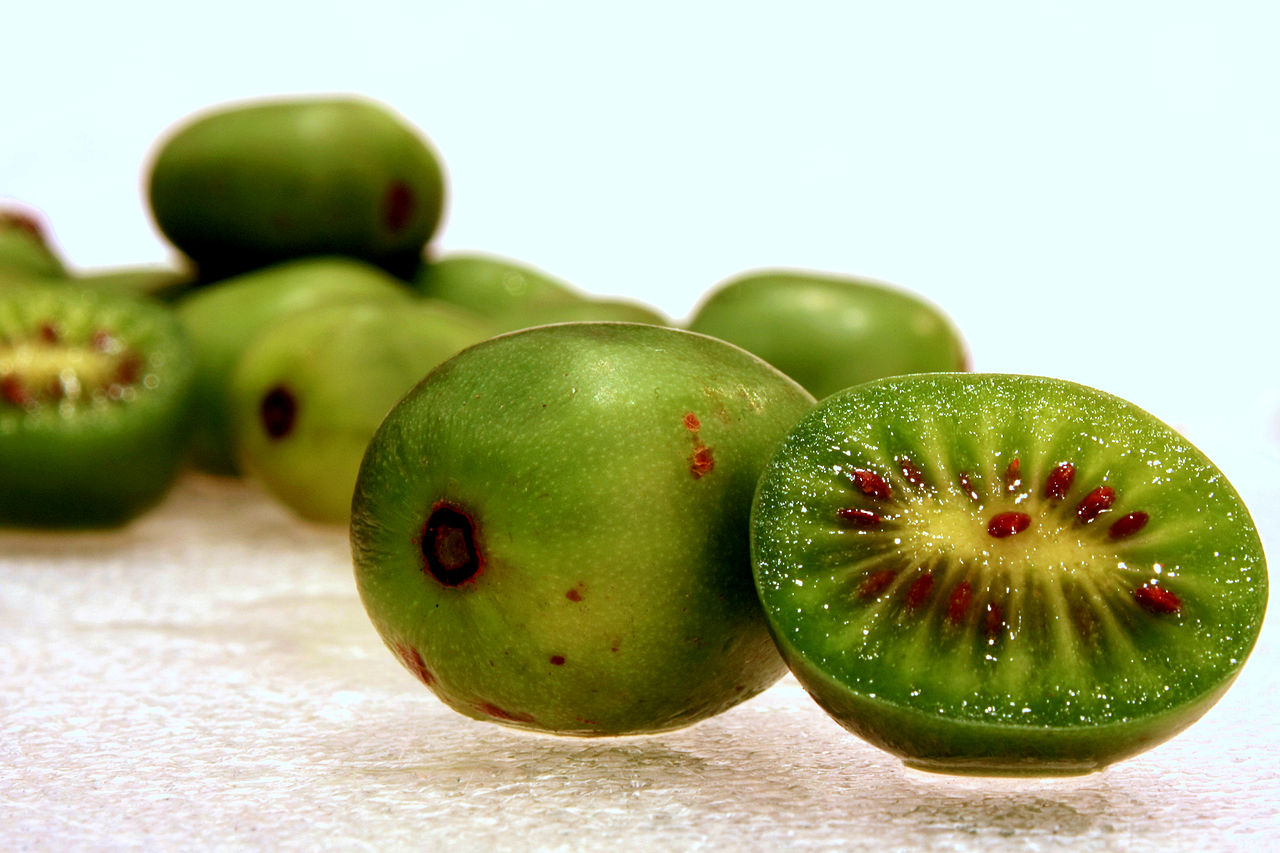 La Actinidia arguta es una planta resistente a las heladas