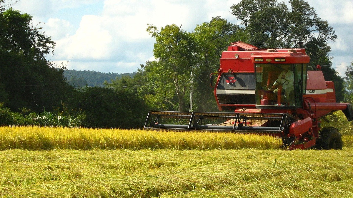 Agricultura extensiva