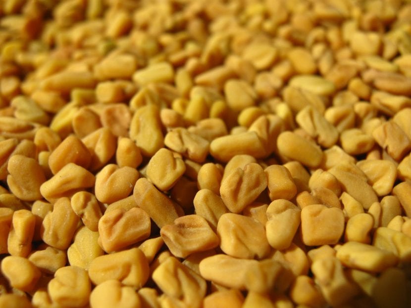 Semillas de alholva