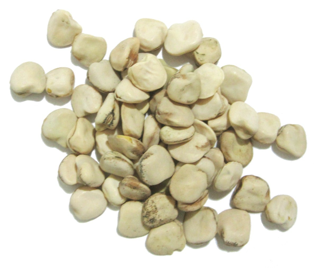 Almorta: cultivo, siembra y precauciones del Lathyrus sativus