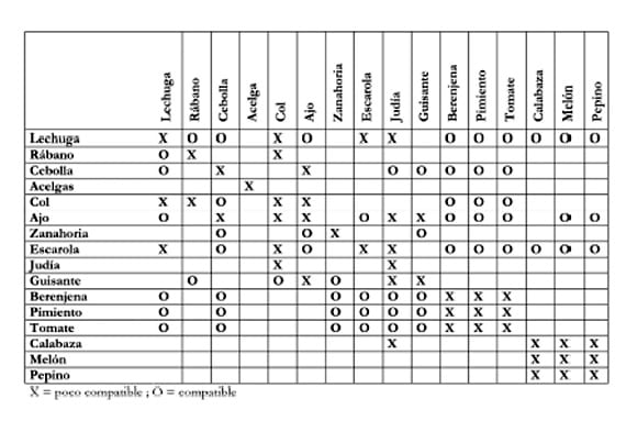 Tabla de asociaciones de cultivo para macetohuerto