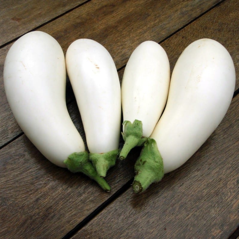 Berenjena blanca: cultivo, cuidados y cosecha en el huerto