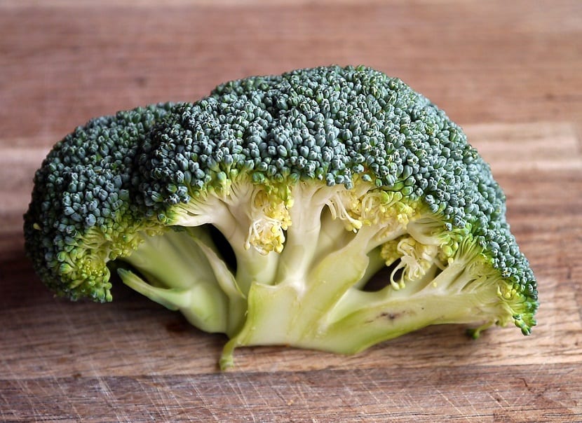 ramillete de brocoli verde