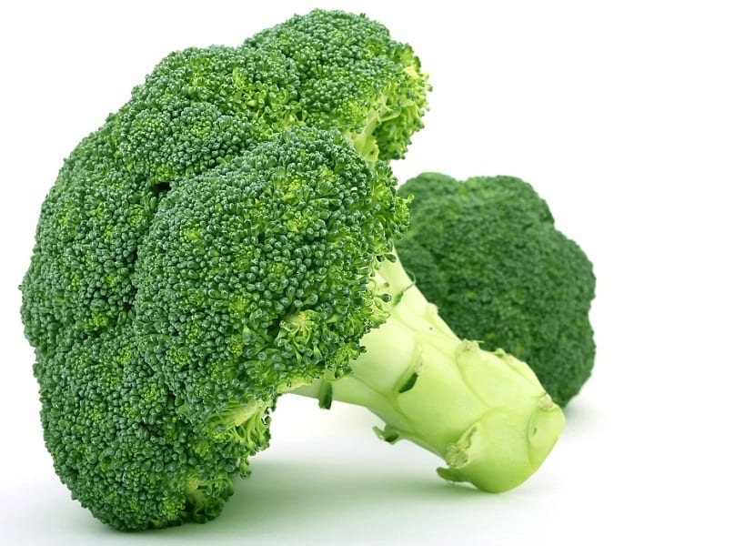 ramillete de brocoli verde