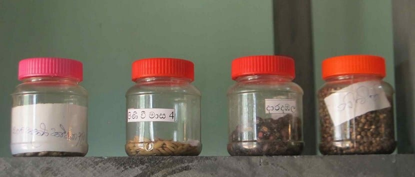 Banco de semillas