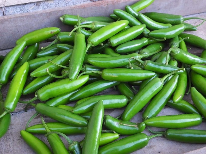 chiles serranos encima de una mesa