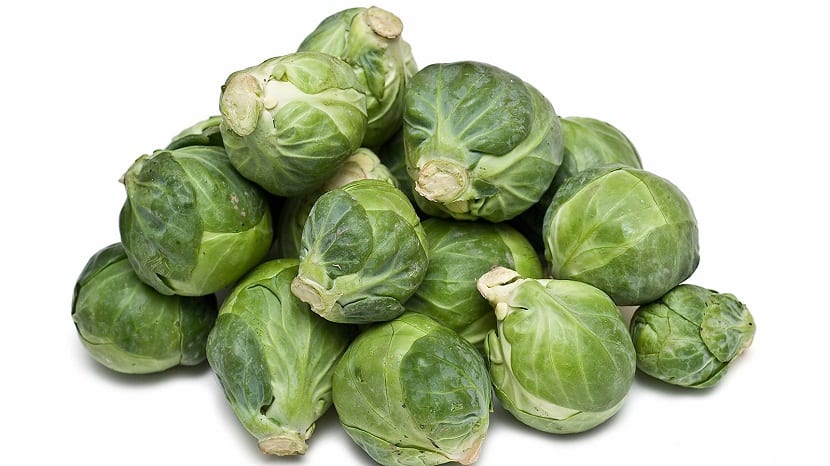 Coles de Bruselas: cultivo, cuidados, cosecha y variedades