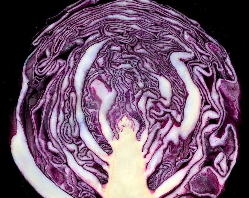 La coliflor morada se puede cultivar en maceta
