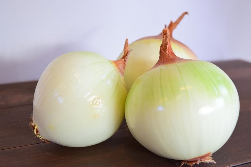 Cebollas