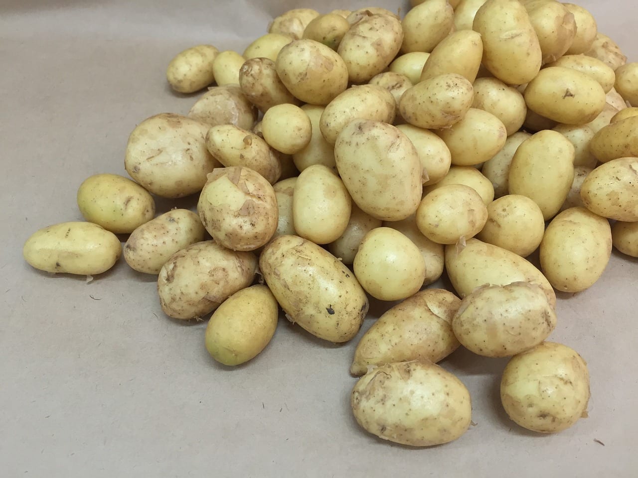 Cómo conservar las patatas del huerto hasta seis meses