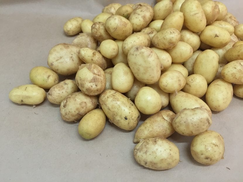 Patatas frescas