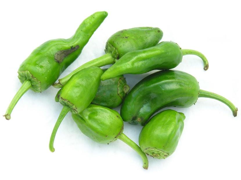 Pimientos