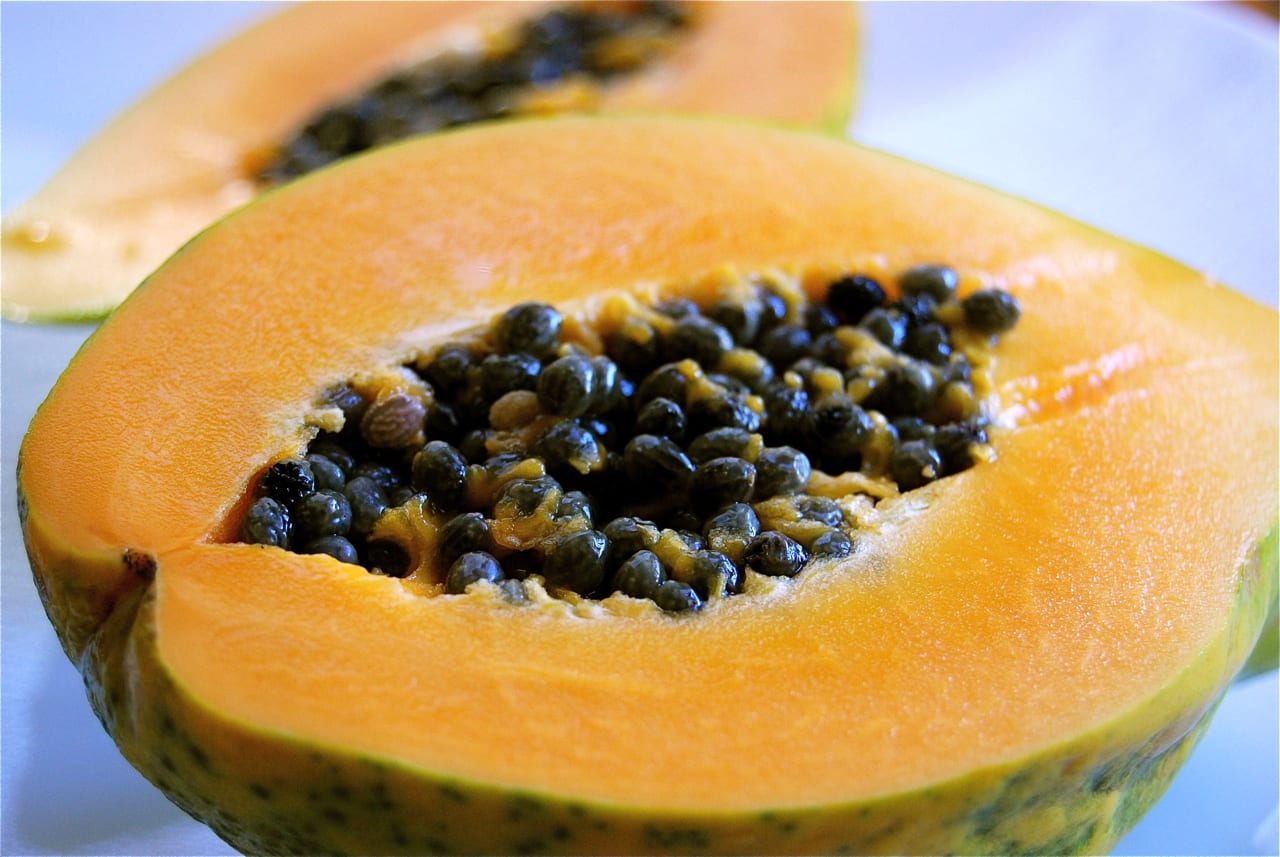 Cómo cultivar papaya: siembra, clima y cosecha